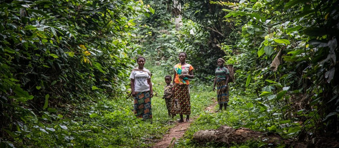 RDC : La forêt du Bassin du Congo au cœur des enjeux climatiques